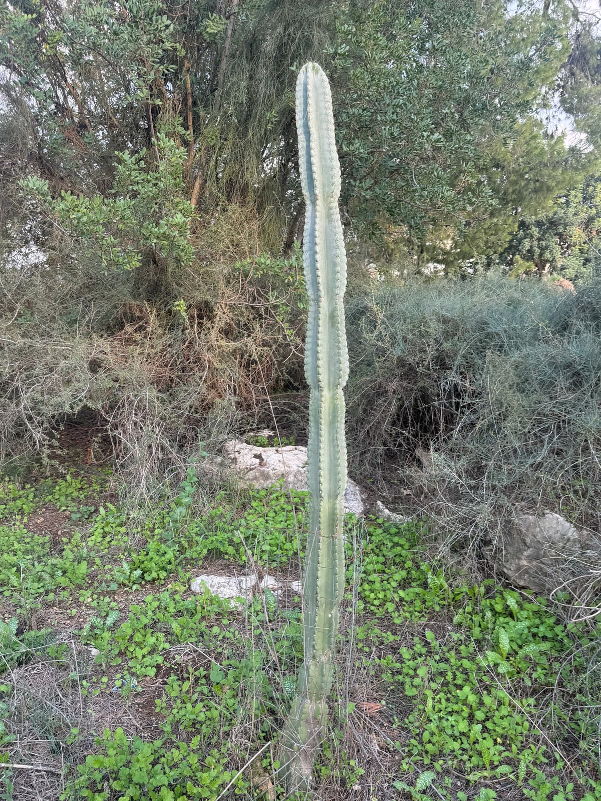 טל שחר - צילום מהמקום