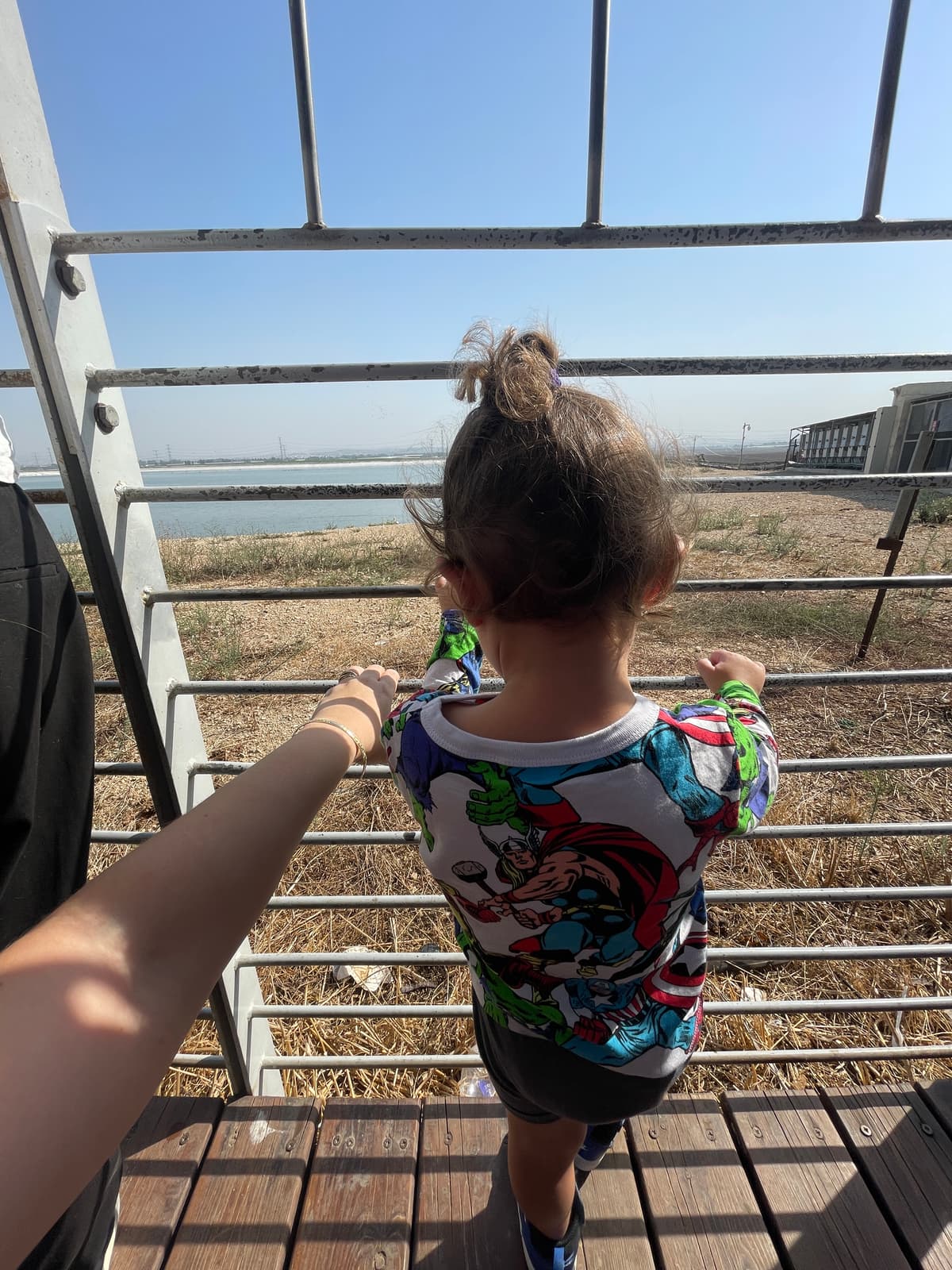מצפור ויקר - צילום מהמקום