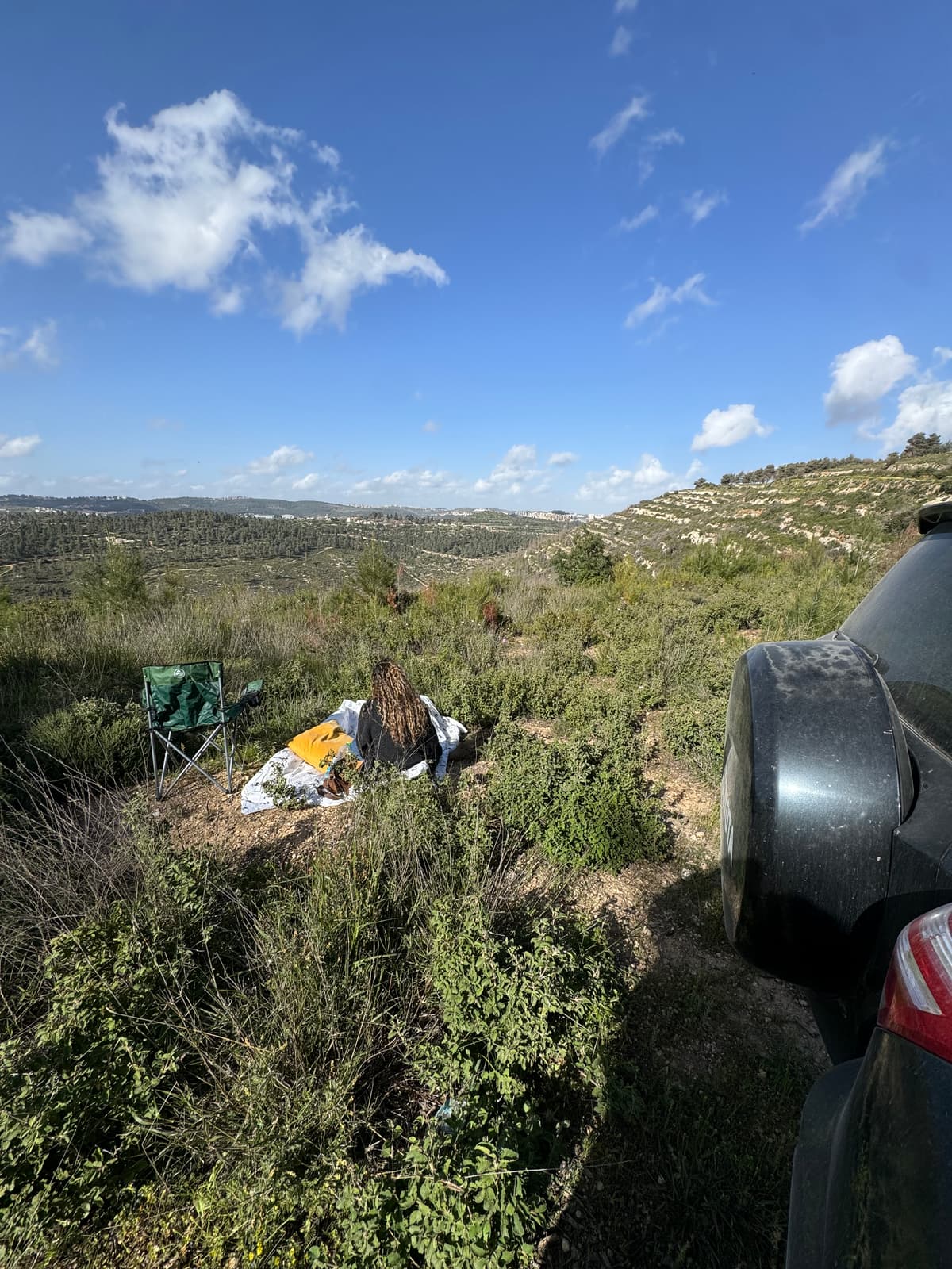 הסטף - צילום מהמקום