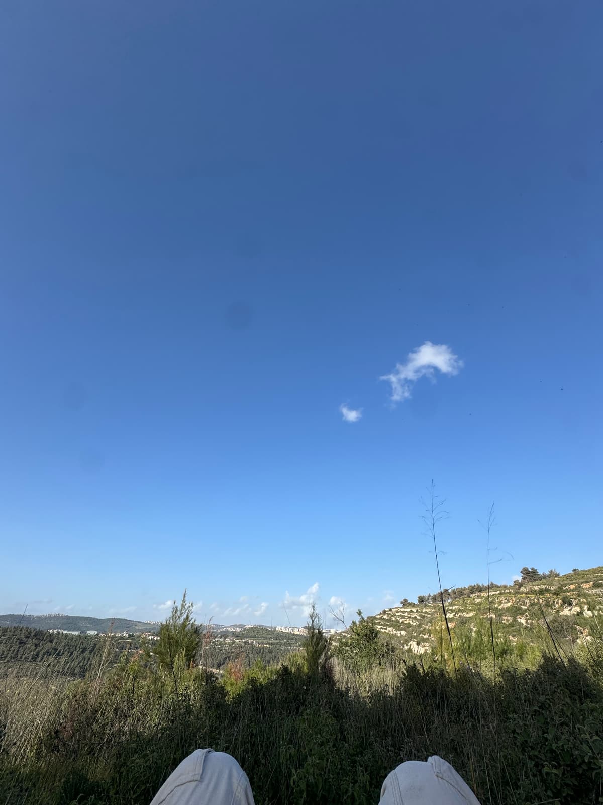 הסטף - צילום מהמקום