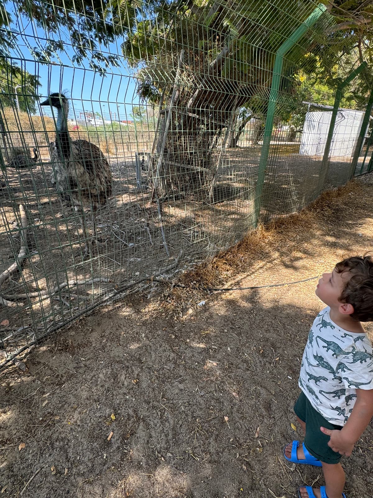 פארק נחל לכיש - צילום מהמקום