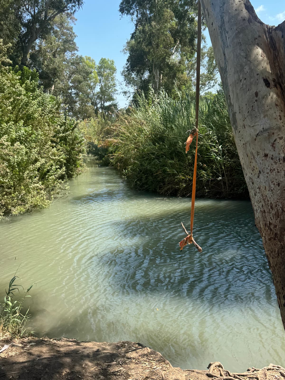 תמונת רקע - בית לאה