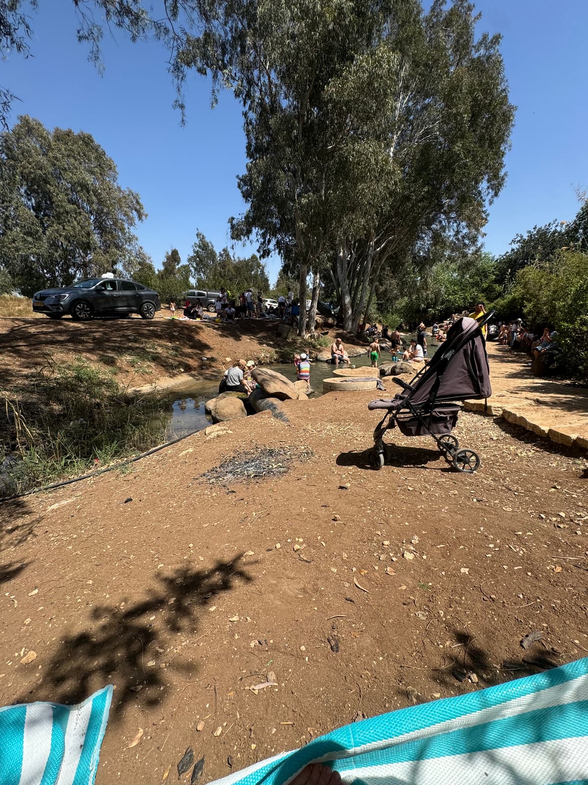 תמונת רקע - חורשת גדעונה