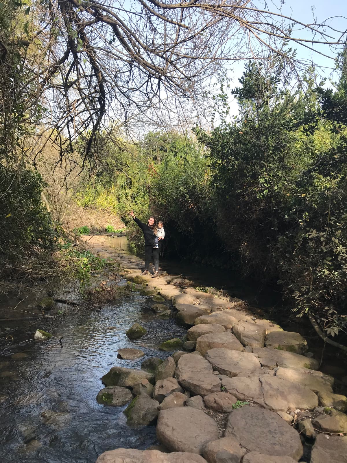 תמונת רקע - שמורת תל דן